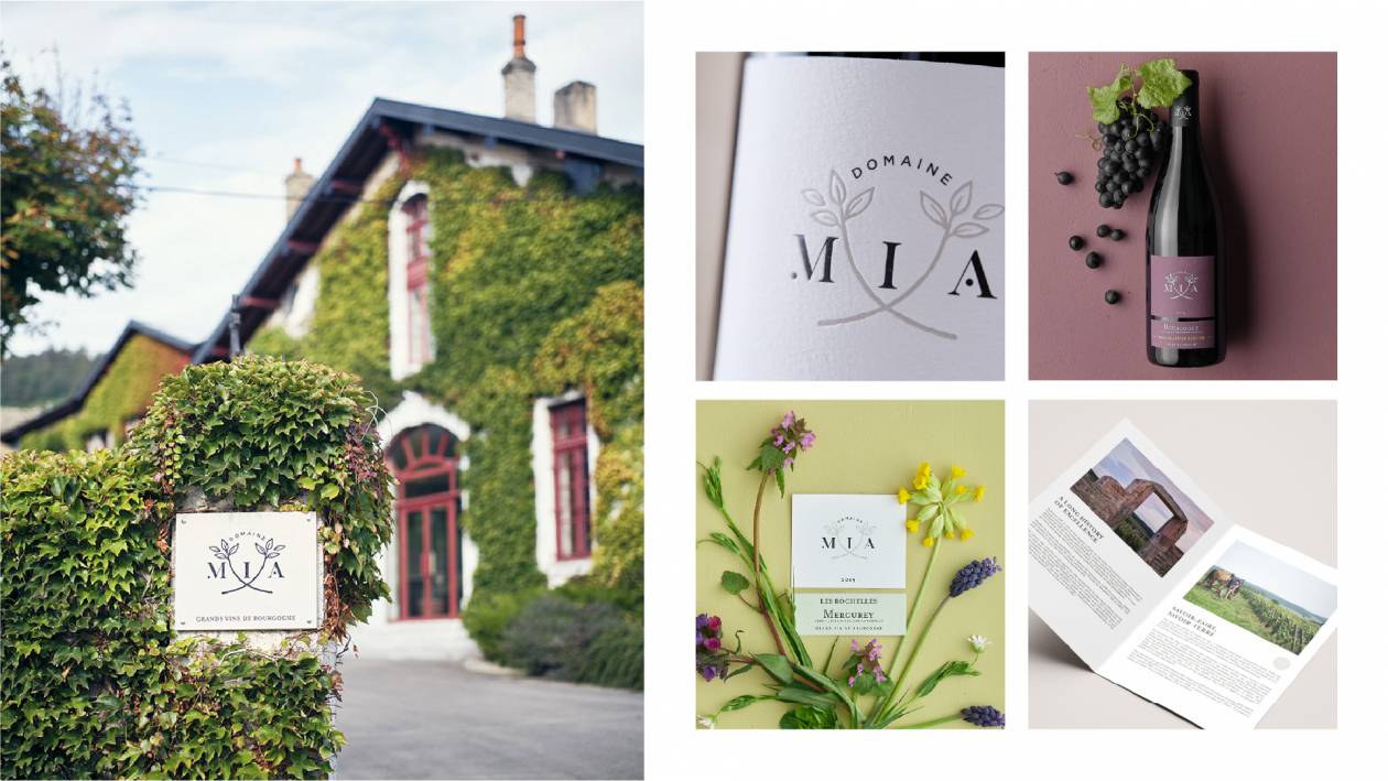 Création identité de marque globale